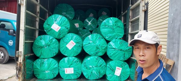 z5572229779308_dd4296631d8f999e8b4a634bf263a900